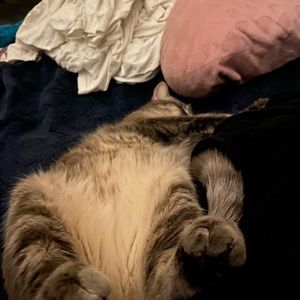 Meet your Posher, Yuritzi